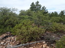 photo thumbnail #10