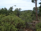 photo thumbnail #11