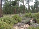 photo thumbnail #13