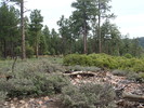 photo thumbnail #14