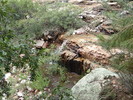 photo thumbnail #4