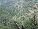 photo thumbnail #14