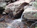 photo thumbnail #15