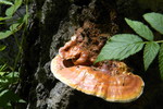 photo thumbnail #10