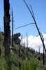 photo thumbnail #11