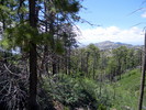 photo thumbnail #13