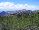 photo thumbnail #14