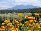 photo thumbnail #12