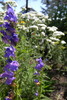 photo thumbnail #13