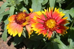 photo thumbnail #14