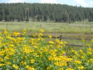 photo thumbnail #15