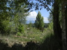 recent photo