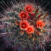 photo thumbnail #3