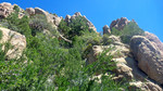 photo thumbnail #11