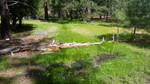 photo thumbnail #3