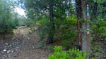 photo thumbnail #14