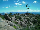 photo thumbnail #9