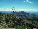 photo thumbnail #12