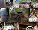 photo thumbnail #12