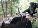 photo thumbnail #6