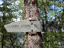 photo thumbnail #14