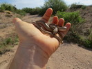 photo thumbnail #1