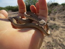 photo thumbnail #2