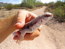 photo thumbnail #4