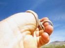 photo thumbnail #7