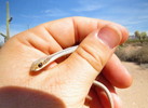 photo thumbnail #8