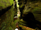 photo thumbnail #15
