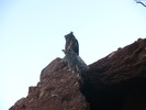 photo thumbnail #2