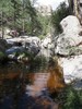 photo thumbnail #10