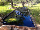 photo thumbnail #12