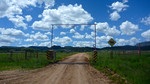 photo thumbnail #4