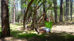 photo thumbnail #8