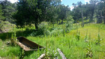 photo thumbnail #10