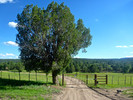 photo thumbnail #14