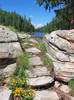 photo thumbnail #4