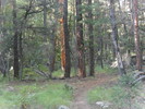 photo thumbnail #1