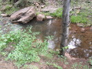 photo thumbnail #8