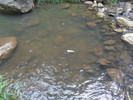 photo thumbnail #10