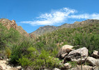 photo thumbnail #1