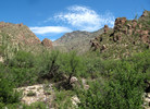 photo thumbnail #2