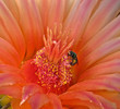 photo thumbnail #4
