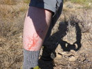 photo thumbnail #7