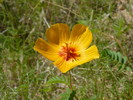 photo thumbnail #13