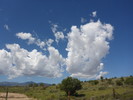 photo thumbnail #14