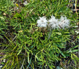 photo thumbnail #13