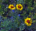 photo thumbnail #14